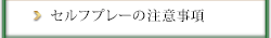 セルフプレーの注意事項